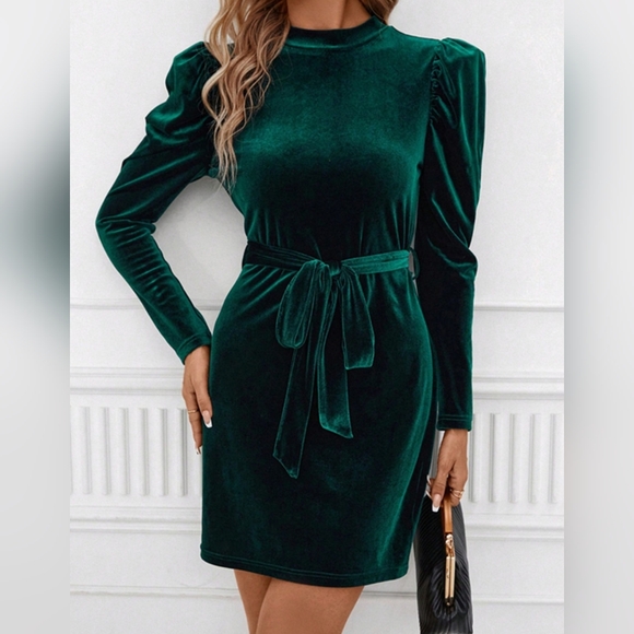 Pine Velvet Luxe Mini Dress - Picture 7 of 10